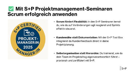 S+P Projektmanagement-Seminare.jpg