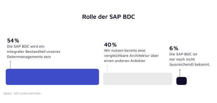 rolle-der-sap-bdc-valantic-sap-studie-2025.jpg