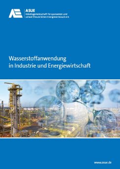 ASUE-Broschüre_Wasserstoffanwendung-in-Industrie-und-Energiewirtschaft.jpg