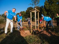 Freiwilligentag der Metropolregion Rhein-Neckar: Countdown - noch 1 Monat!