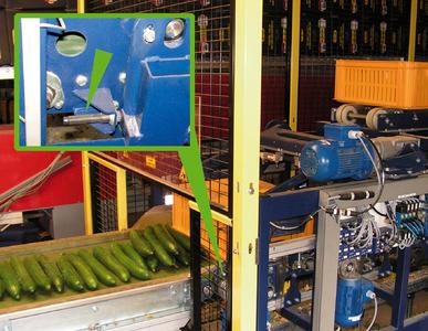 Läuft alles andere als krumm: Pneumatisch angetriebene Wende-Einrichtung der Koat BV an Sortieranlage für Gurken mit ACE Klein-Stoßdämpfern als Bremselementen