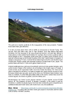 22.01.2025 Gold fasziniert immer en.pdf