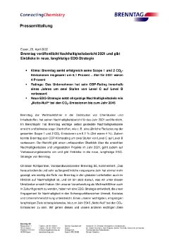 PM Brenntag Nachhalt_bericht 2021 DE.pdf