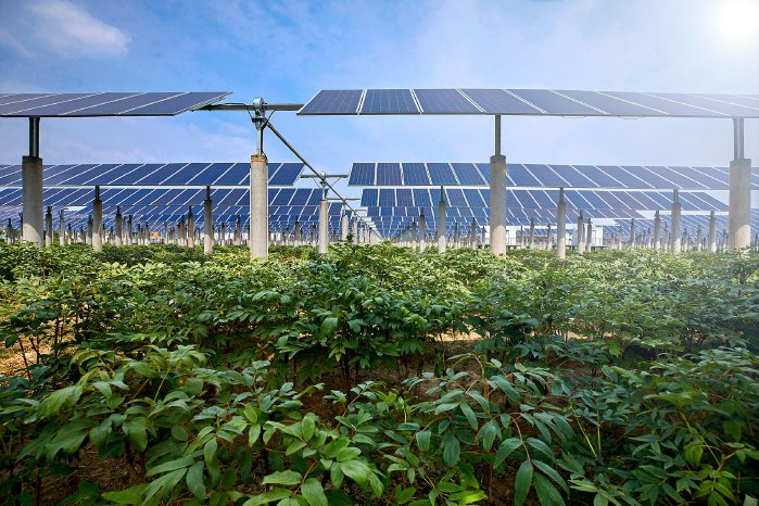 agrovoltaico.jpg
