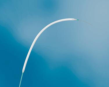 LINC 2016: Studies Highlight Efficacy of BIOTRONIK Passeo-18 Lux Drug-Coated Balloon in Superficial Femoral Artery Disease
