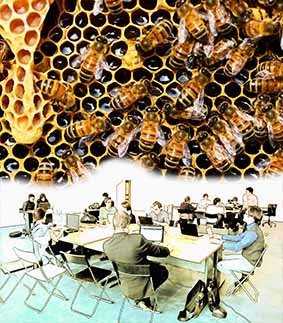2015-079pe-Orbio_Zehren_Abb2.jpg