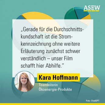 Zitat Kara Hoffmann zur Stromkennzeichnung.png