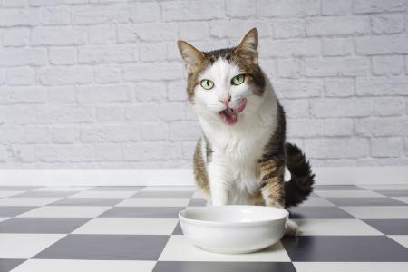 Quelle: istock, Lightspruch