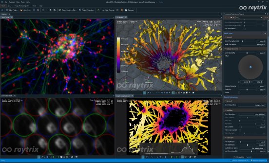 Raytrix-cancer-microscopy.jpg