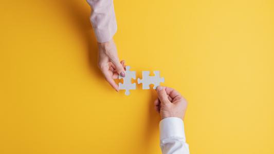 Strategic Alliances