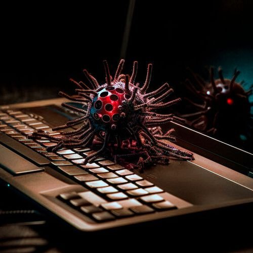 Synology-NAS vor Malware schützen