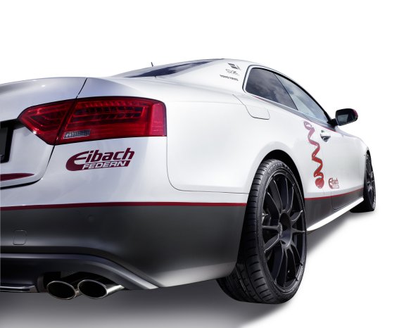 Eibach_Audi_S5_rear_spoiler.jpg