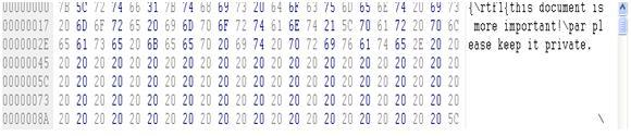 Buffer Overflow Exploit in Action