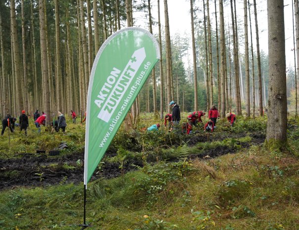 Unternehmen spenden an die Aktion Zukunft+ und pflanzen Bäume im Ebersberger Forst. (c)Energieag.jpg
