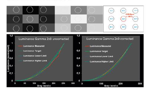 Top row: Luminance images with 9 different levels of grey for a two-shot gamma measurement. Top row right: White luminance image used for correction of spatial luminance deviations. Bottom row: Luminance values versus grey levels measured with the two-shot approach. After correction of the grey values with the white luminance picture, the electro-optical transfer function of the measured display lays well within the tolerance band (dotted blue line) as requested by the OEMs