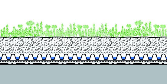 Systemaufbau Sedumteppich.JPG
