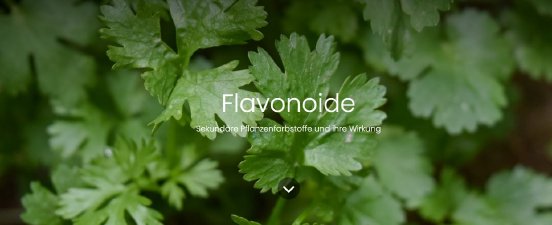 Flavonoide.JPG