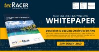 Whitepaper: Data Lakes & Big Data Analytics on AWS – Hoch verfügbar, skalierbar, preiswert