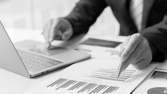 netfiles_Due_Diligence_02.jpg