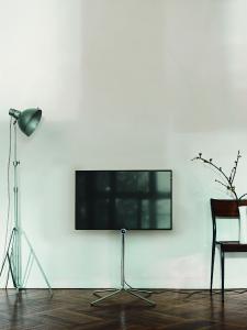 Loewe bild1.32