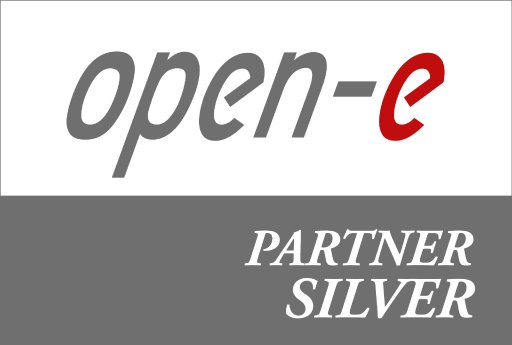 Open-E Partner Logo - Silver.jpg