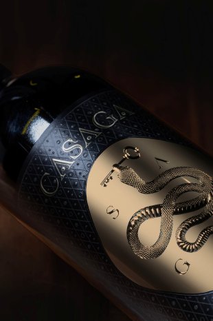 CASAGA 2 - Willi Opitz.jpg