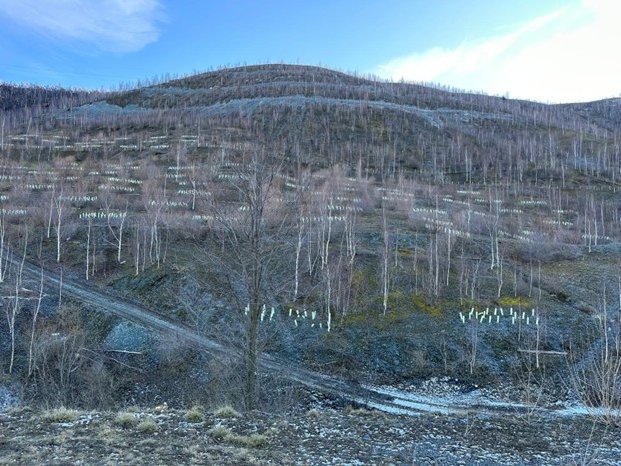 Bild2.jpg