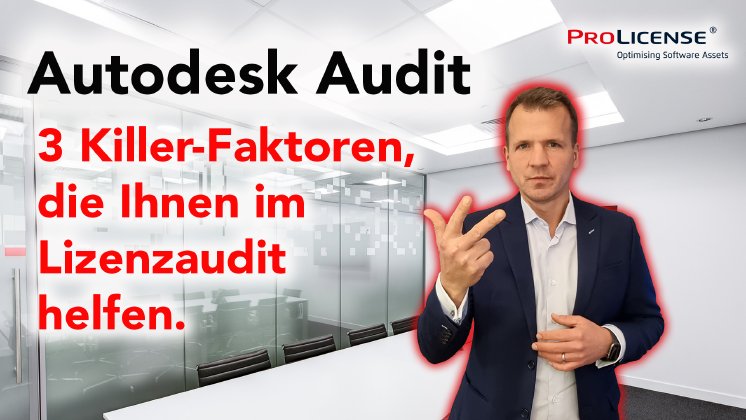 Autodesk Audit Killer Faktoren.png