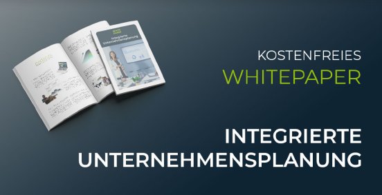 evidanza Whitepaper Unternehmensplanung.png