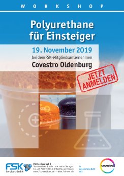 Einsteiger-Workshop-Covestro-19.11.2019 (2).pdf