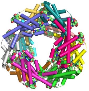Proteinstruktur.jpg