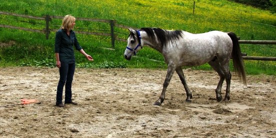 Cheval Trainings_Führung und Vertrauen.jpg