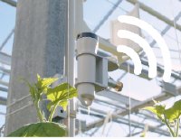 Aranet-PAR-LS: Präzisionssensor für spektrale Lichtmessung im Gewächshaus