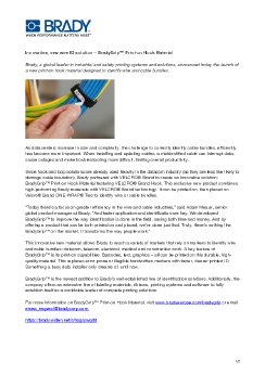 CCEE_BRADY-BRADYGRIPA.pdf