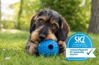 Seit gut einem Jahr prüft das SKZ Tierspielzeug für Hunde und setzt dadurch ein starkes Zeichen für mehr Tierwohl. Künftig soll das Angebot sukzessive auch auf weitere Tierarten wie Katzen ausgeweitet werden.