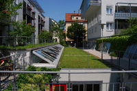 ZinCo zeigt auf der Bau den innovativen Systemaufbau „Sommerwiese“ zur pflegeleichten Intensivbegrünung.