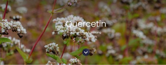 Quercetin.JPG