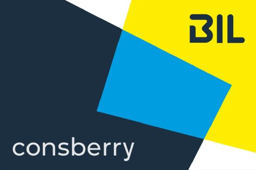 consberry-schnittstelle-web-1024x681.jpg.jpg