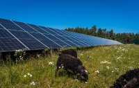 ABO Energy sichert Tarifzuschläge in Solar-Ausschreibung