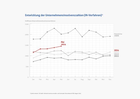 Grafik_IN-Verfahren_Mai_2024.jpg