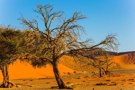Landschaft in Namibia; Quelle: Depositphotos