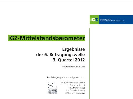 iGZ Mittelstandsbarometer_6_Welle_final.pdf