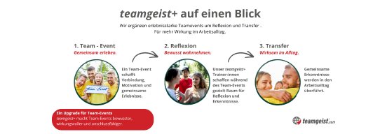 1440x650 Schaubild teamgeist+.png