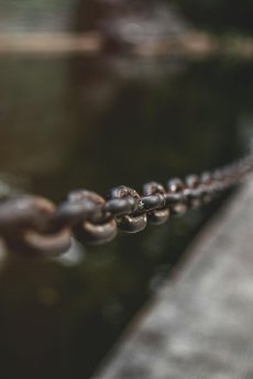 links.pexels-lord-welhim-esaga-1689705-3347410.jpg
