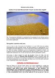 [PDF] Pressemittilung: Wahnsinns Bohr-Erfolg...