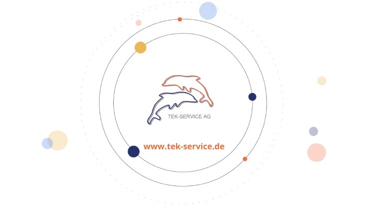 2026-04-16_13_56_47-Home_-_TEK-SERVICE_AG___Mozilla_Firefox.png