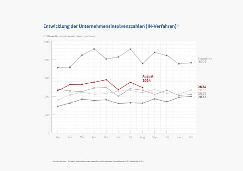 Grafik_IN-Verfahren_Aug_2024.jpg