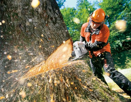 STIHL_Anwendungsbild.jpg