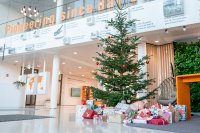 Die Mitarbeiterinnen und Mitarbeiter legten die Geschenke unter den Weidmüller-Wunschbaum. / Bildquelle: Weidmüller