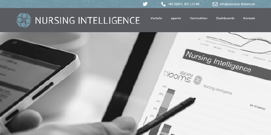 Neue-Produktwebsite-Nursing-Intelligence.png